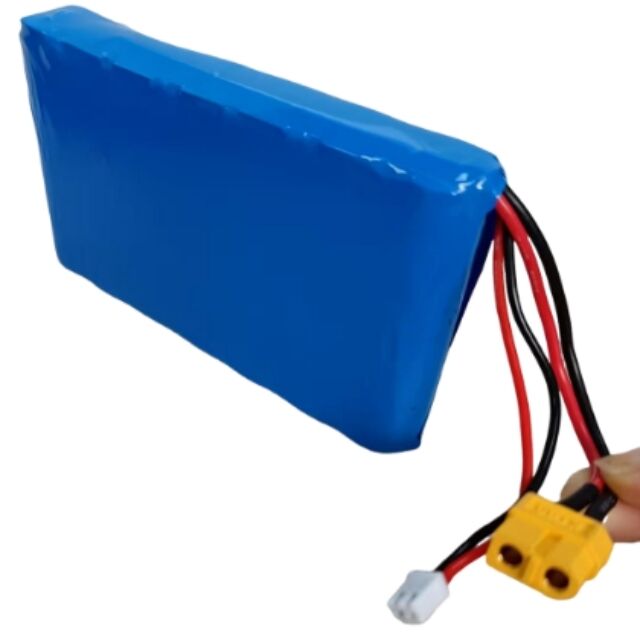 Niestandardowy zestaw baterii 7s1p 18650 24V 3500mAh dla silnika 350W z wtyczką Xt60